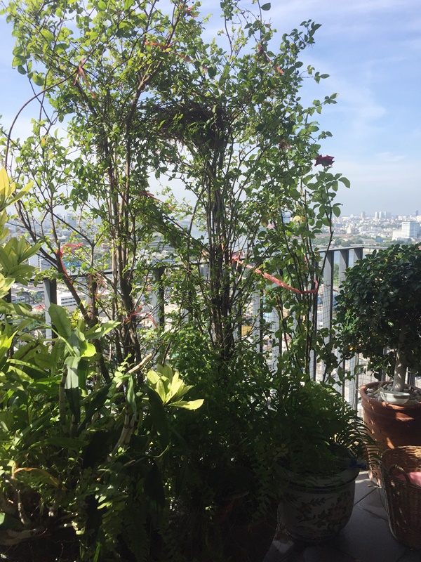 ขายคอนโด เดอะ ทรี อินเตอร์เชนจ์ พื้นที่ 36 ตร.ม. 1 ห้องนอน ขาย 2.91 ล้านบาท