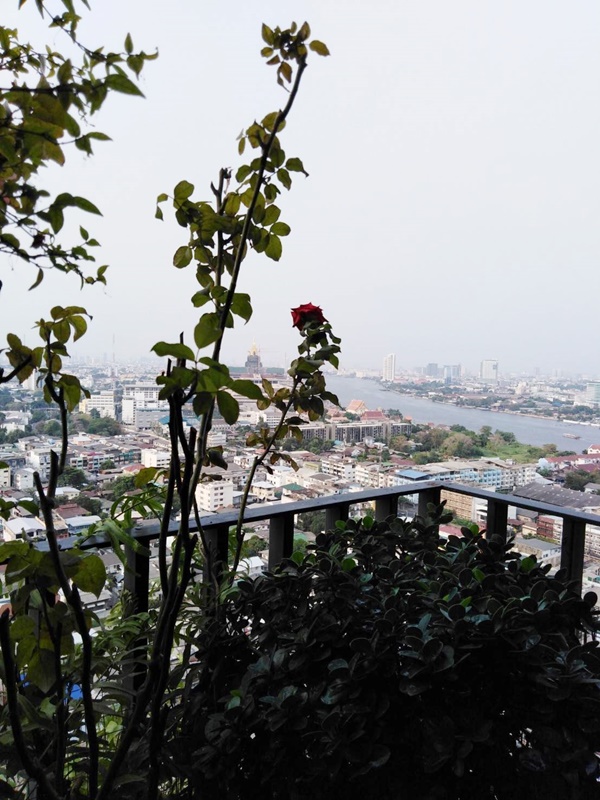 ให้เช่าคอนโด เดอะ ทรี อินเตอร์เชนจ์ พื้นที่ 60 ตร.ม. 2 ห้องนอน เช่า 23,000 บ/ด