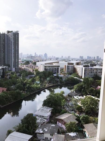 ให้เช่าคอนโด เดอะ เบส สุขุมวิท 77 พื้นที่ 30.36 ตร.ม. 1 ห้องนอน เช่า14,000 บ/ด