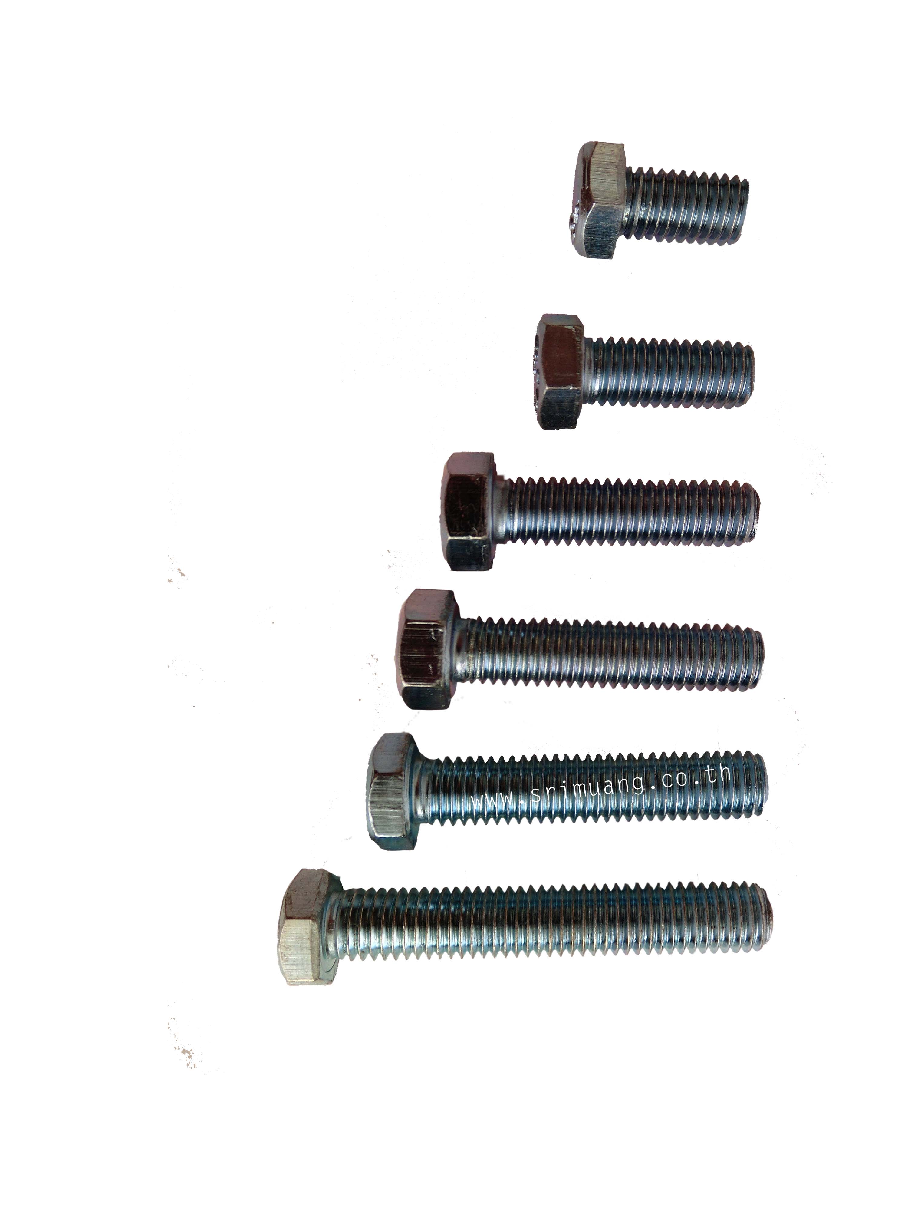 สกรูน็อตหัวหกเหลี่ยม (กิโลปั๊มเย็น) Hexagon Head Bolt