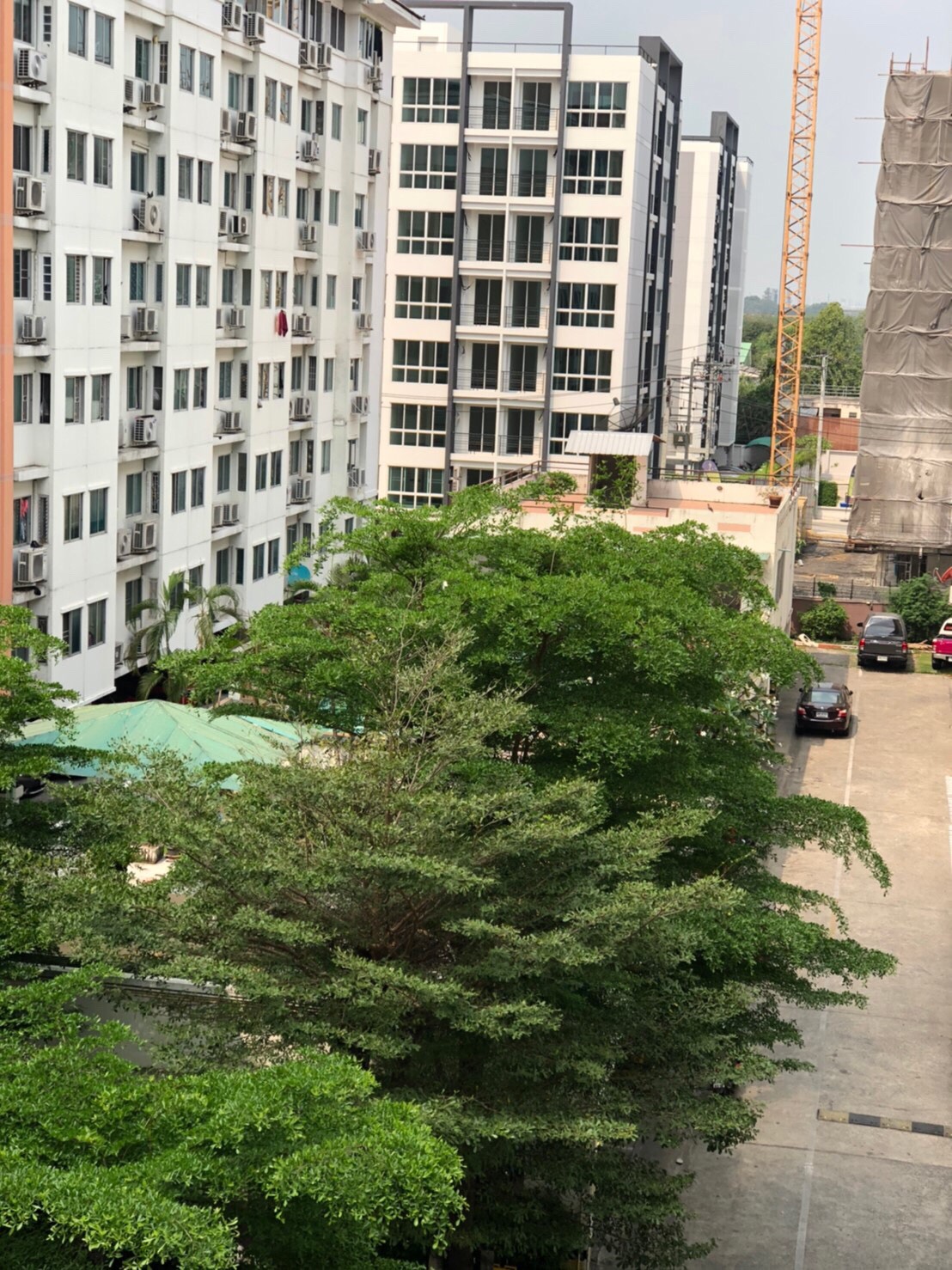 ขายคอนโด รีเจ้นท์ โฮม 1 พหลโยธิน 67 พื้นที่ 30 ตร.ม. สตูดิโอ ขาย 850,000 บาท