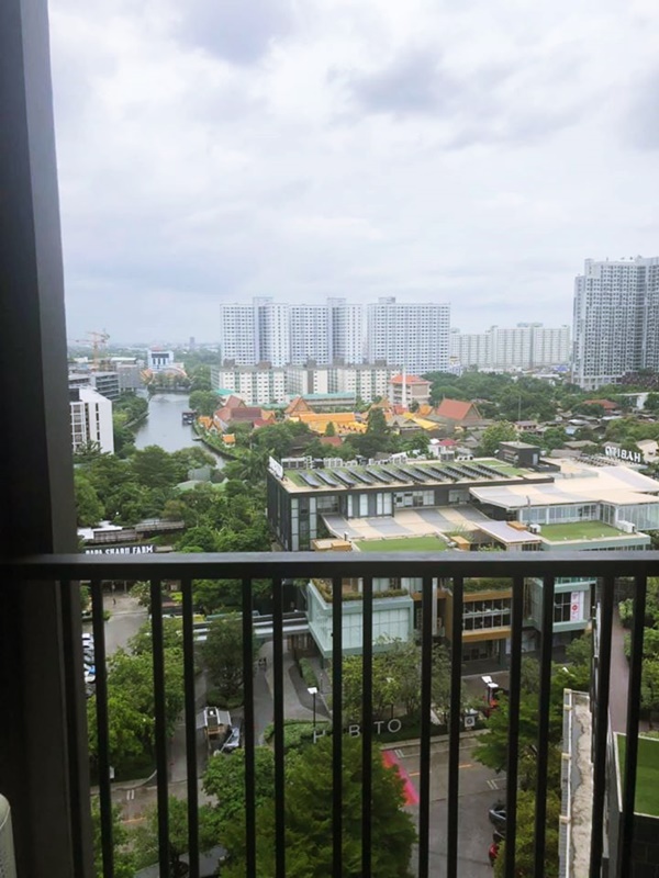 ขายคอนโด เดอะ เบส พาร์ค เวสต์ พื้นที่ 30 ตร.ม. 1 ห้องนอน ขาย 3.5 ล้านบาท