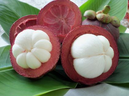 สารสกัดเปลือกมังคุด Mangosteen Extract 100g.