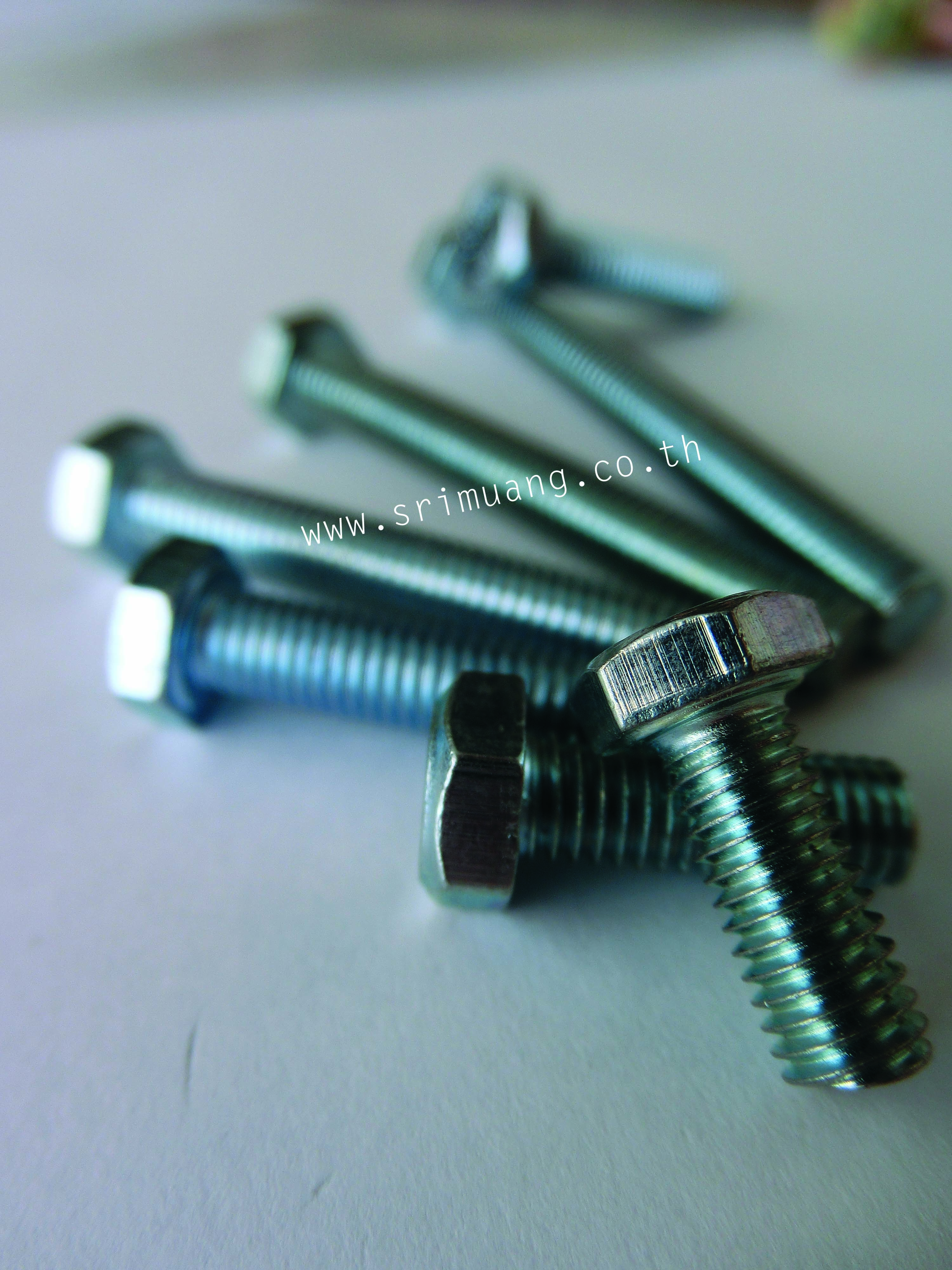 สกรูมิลขาว Hexagon Bolt (White Zinc)