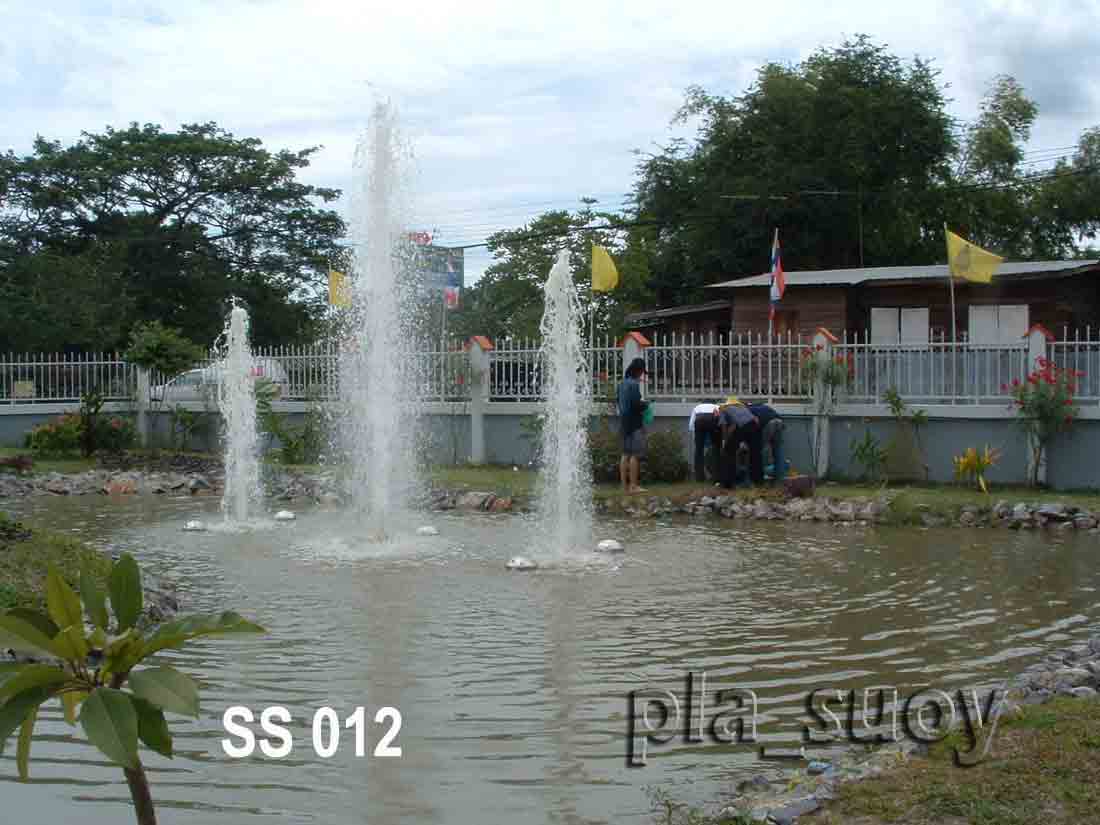 น้ำพุทุ่นลอย ทรงต้นสน 3 หัว