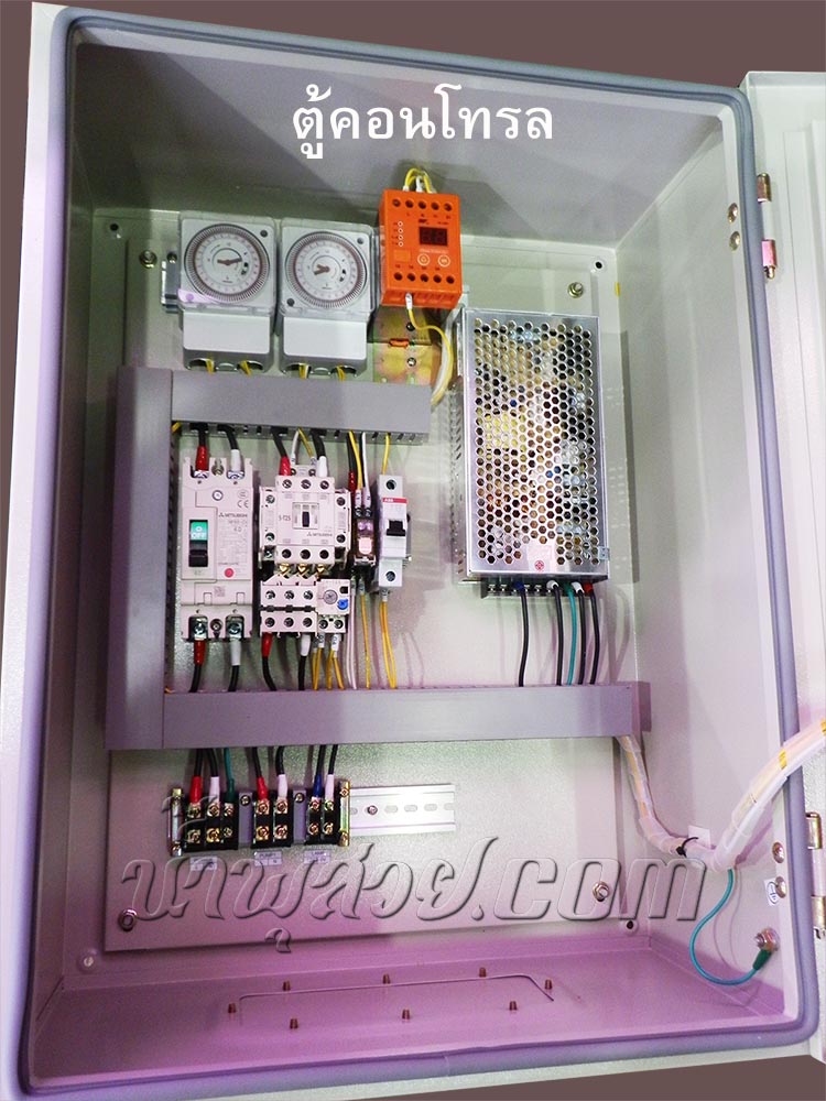 บ่อน้ำพุประติมากรรมคิวปิด ดนตรี