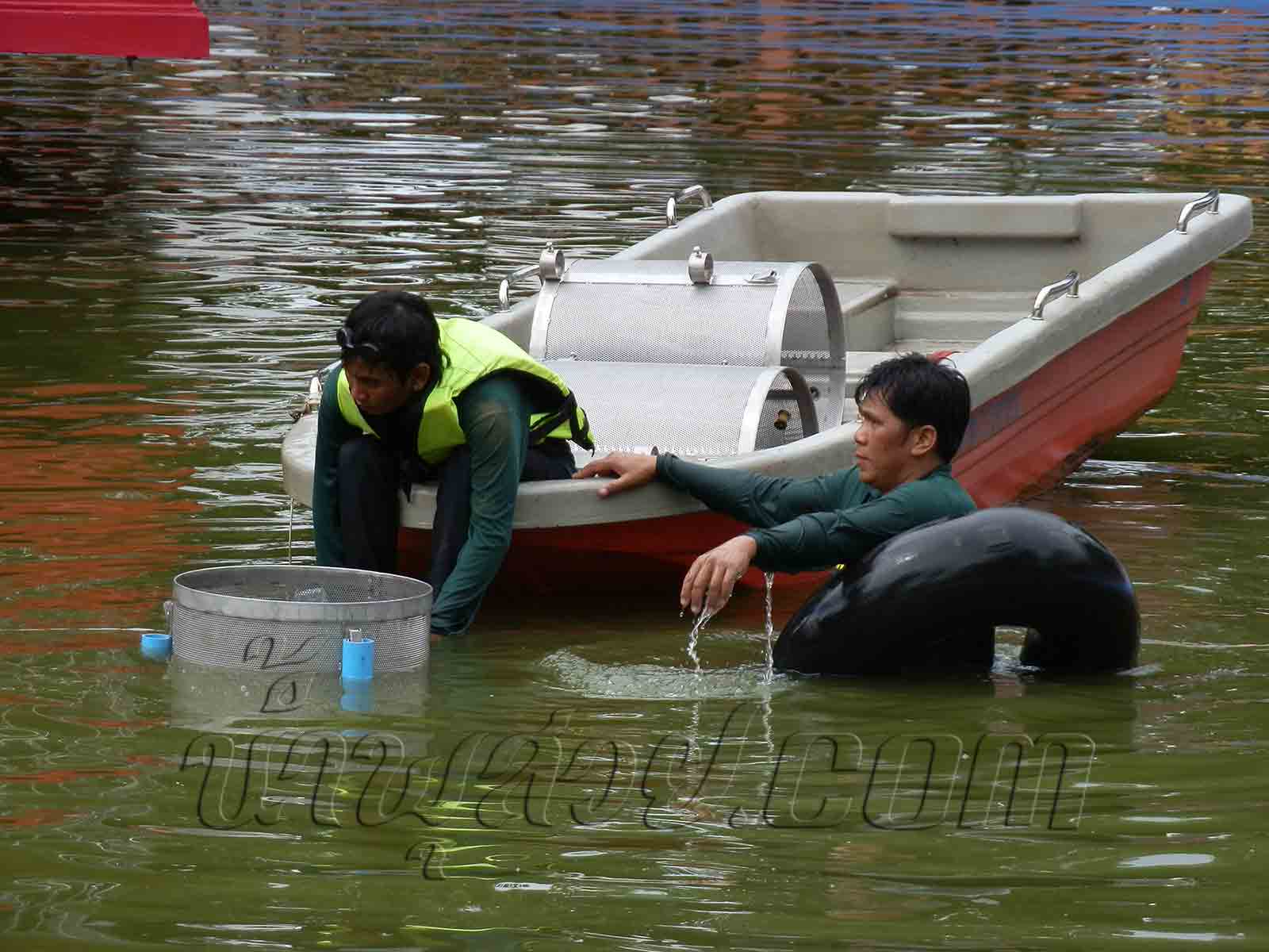 น้ำพุขาตั้ง 6 ชุด พร้อม Strainer ที่วัดตะโก จ.อยุธยา