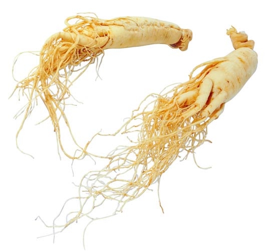 สารสกัดโสม Ginseng Extract 100g.