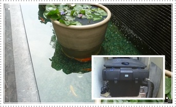 การติดตั้งชุดกรองน้ำ ระบบชีวภาพ BioTec ScreenMatic 36 ที่ Centara Grand Phratamnak Resort Pattaya