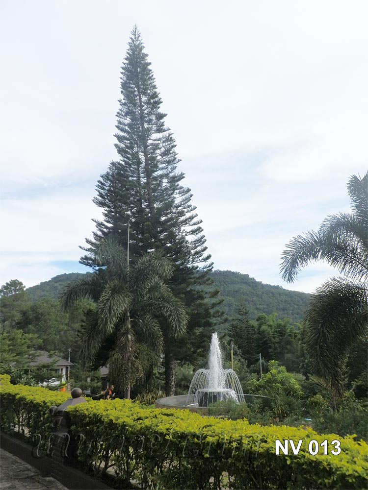 บ่อน้ำพุวงกลม 2 ชั้น พร้อมวง Ring และทรงต้นสน 8 หัว ที่ สวนน้ำทิพย์ วัลเล่ย์ ภูเรือ