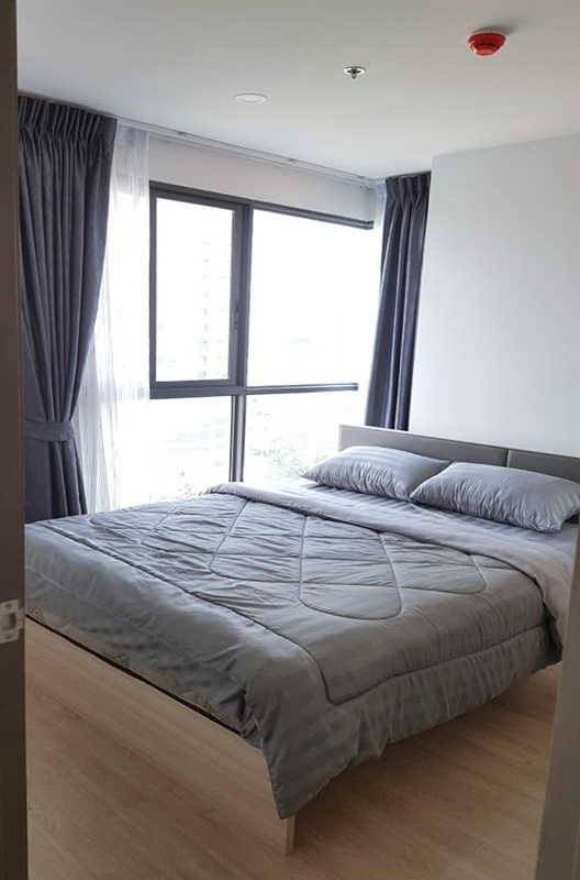 ให้เช่าคอนโดไอดีโอ โอทู พื้นที่ 46.5 ตร.ม. 2 ห้องนอน เช่า 28,000 บ/ด