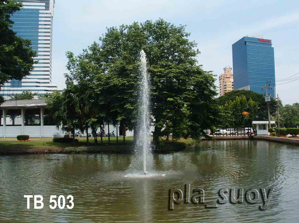 น้ำพุทุ่นลอยราคาประหยัด