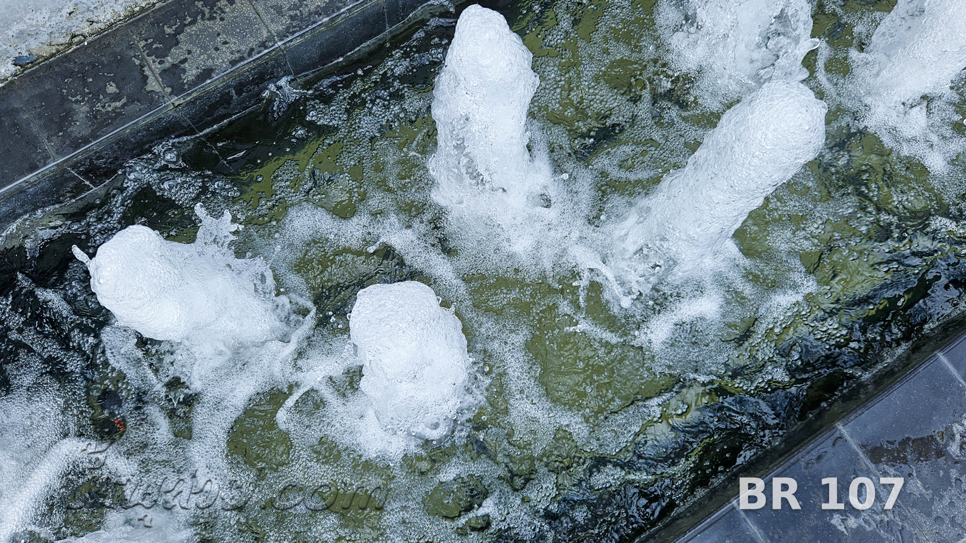 น้ำพุต้นสน บางกอกแร้นช์ จ.สมุทรปราการ