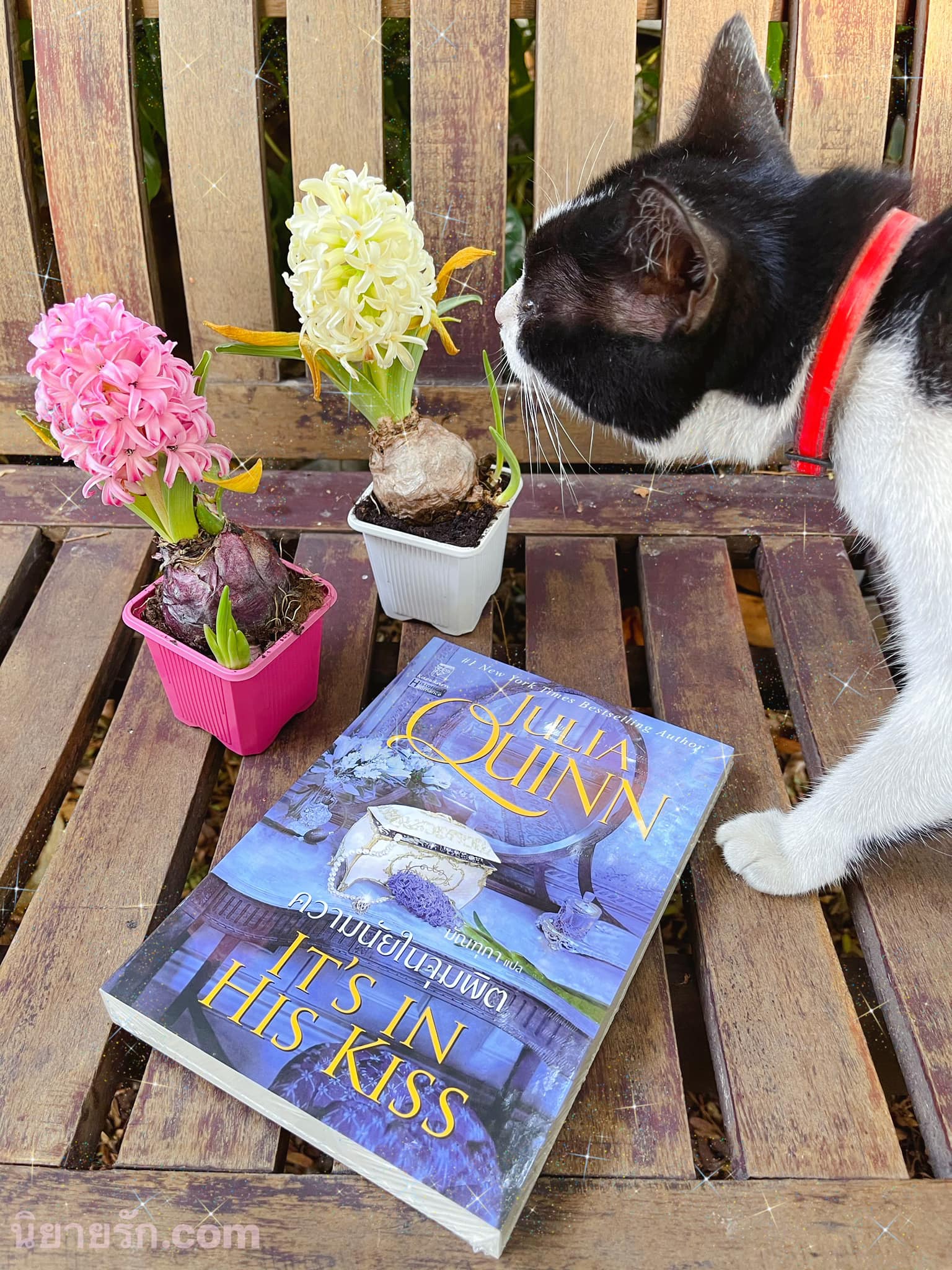 ความนัยในจุมพิต ชุด บริดเจอร์ตัน เล่ม 7 It's in His Kiss จูเลีย ควินน์ Julia Quinn มัณฑุกา แก้วกานต์