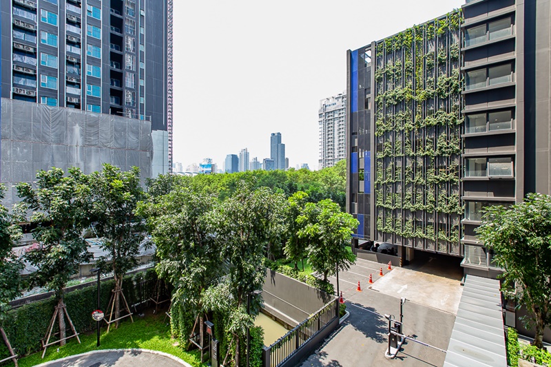 ให้เช่าคอนโด เดอะ ไลน์ อโศก-รัชดา พื้นที่ 34.5 ตร.ม. 1 ห้องนอน เช่า 20,000 บ/ด