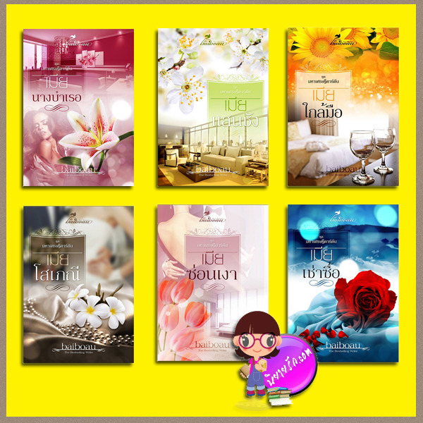ชุด มหาเศรษฐีคาร์ตัน 6 เล่ม : 1.เมียนางบำเรอ 2.เมียแสนชัง 3.เมียใกล้มือ 4.เมียโสเภณี 5.เมียซ่อนเงา 6.เมียเช่าซื้อ Baiboau ทำมือ