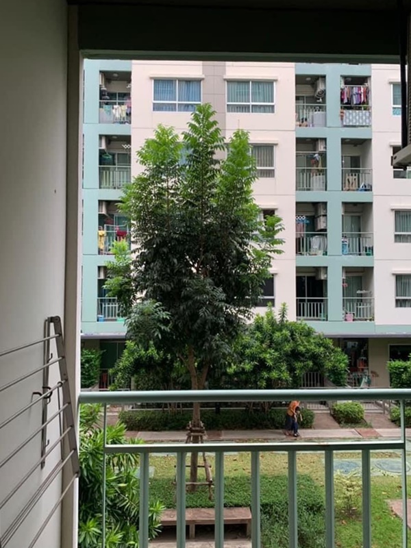 ขายคอนโด ลุมพินี วิลล์ อ่อนนุช 46 พื้นที่ 26 ตรม. 1 ห้องนอน ขาย 1.55 ล้านบาท