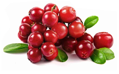 สารสกัดเบอรี่นกกระสา (Cranberry Extract) 50g.