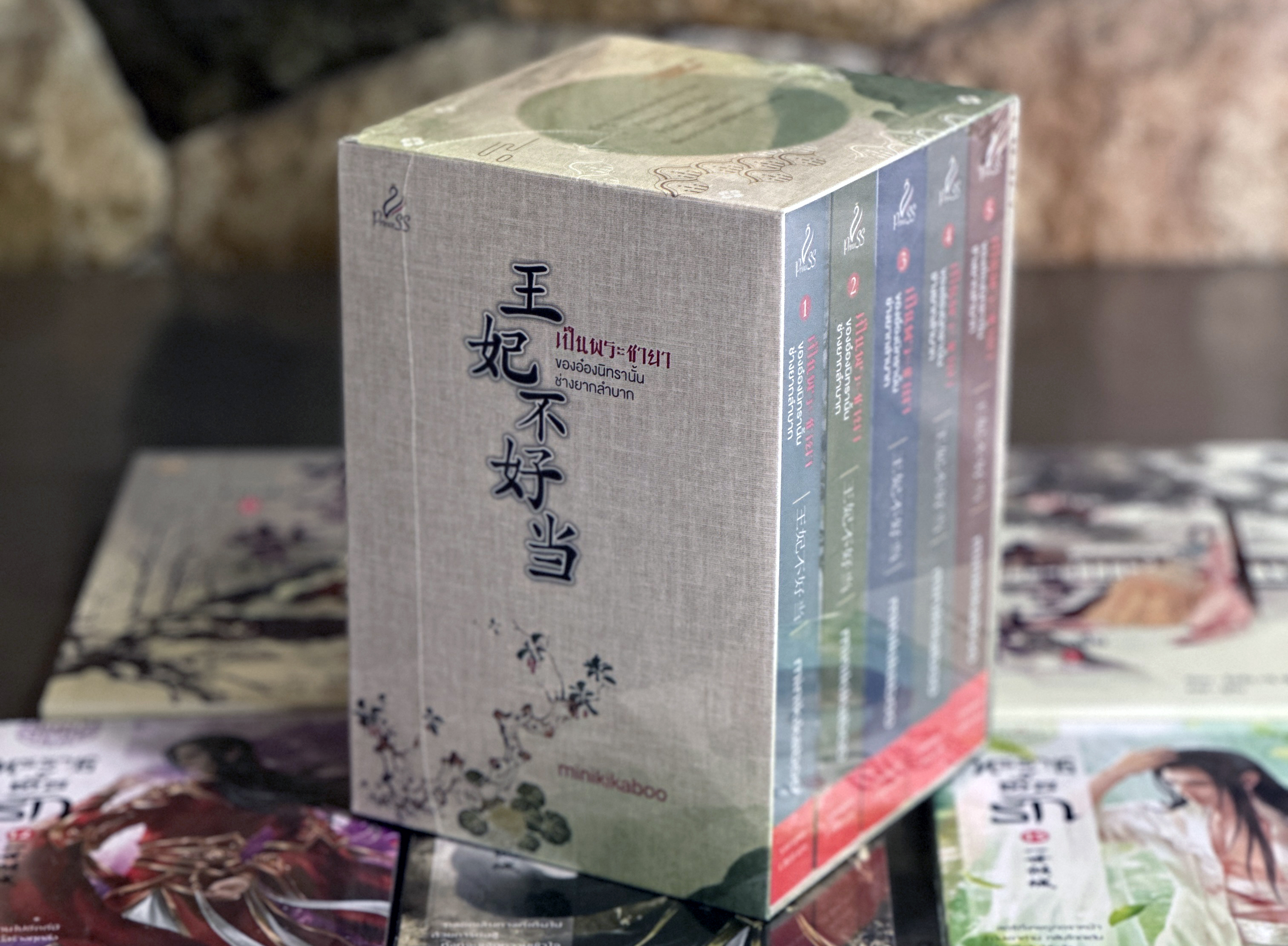 Boxset เป็นพระชายาของอ๋องนิทรานั้นช่างยากลำบาก minikikaboo ปริ๊นเซส Princess ในเครือ สถาพรบุ๊คส์