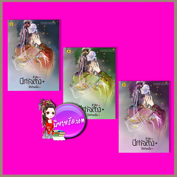 ข้าจับปีศาจสาวได้ตัวหนึ่ง 1-3(จบ) 天上掉下个美娇娘 หนี่วหวางปู่ไจ้เจี๋ย 女王不在家 ห้องสมุด Hongsamut