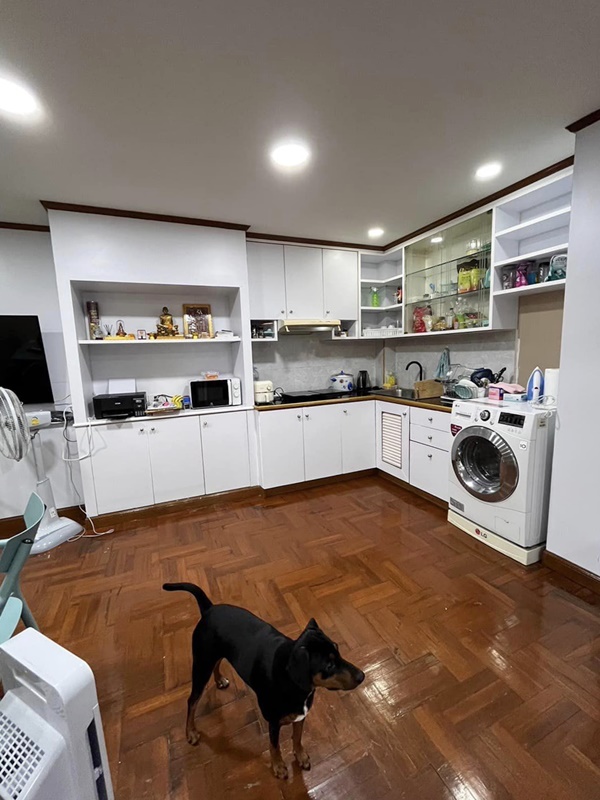 ให้เช่าคอนโด วิทยุ คอมเพล็กซ์ พื้นที่ 81 ตร.ม. 2 ห้องนอน Petfriendly