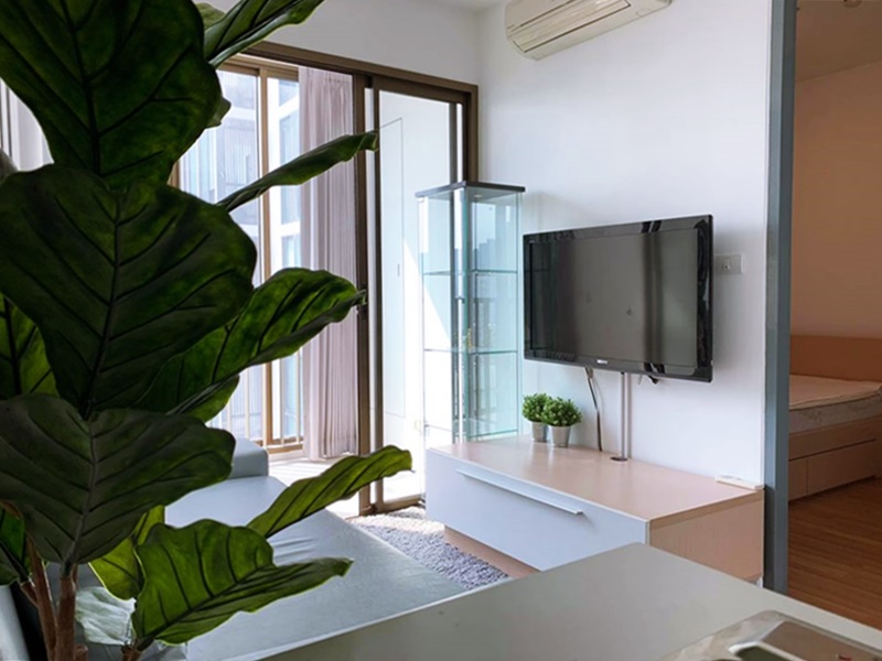 ให้เช่าคอนโด ไอดีโอ มิกซ์ สุขุมวิท 103 พื้นที่ 31 ตร.ม. 1 ห้องนอน เช่า 14,000 บ/ด