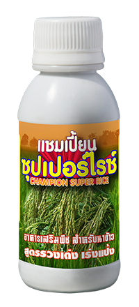 แชมป์เปี้ยนซุปเปอร์ไรซ์ 100 CC