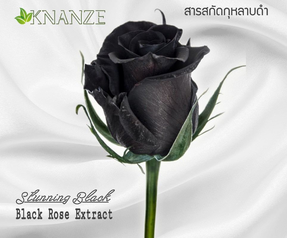 สารสกัดกุหลาบดำ Stunning Black 100g.