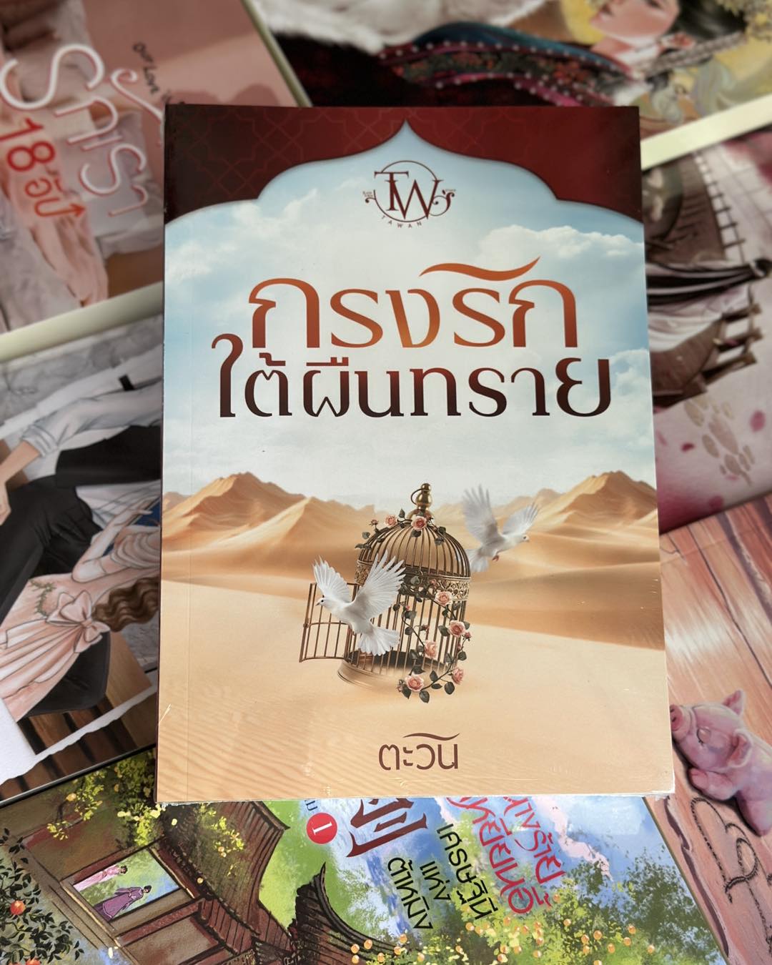 กรงรักใต้ผืนทราย ตะวัน ทำมือ