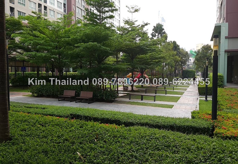 ให้เช่าคอนโด ลุมพินี เพลส รัชโยธิน ชั้น 8 พื้นที่ 30 ตรม. 1 ห้องนอน เช่า 11,000 บ/ด