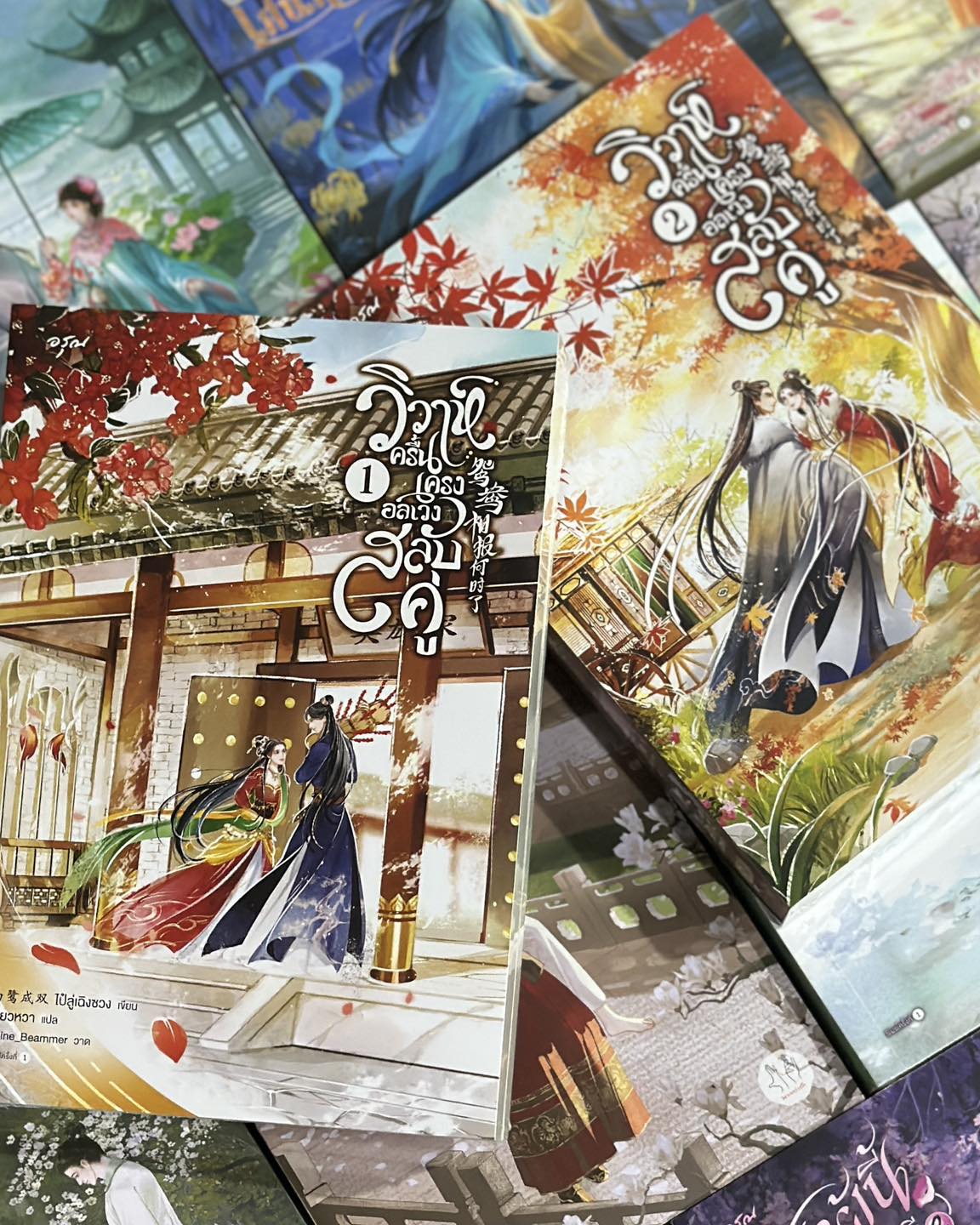 วิวาห์ครื้นเครง อลเวงสลับคู่ (2 เล่มจบ) ส่งฟรี 鸳鸯相报何时了 ไป๋ลู่เฉิงซวง 白鹭成双 อรุณ