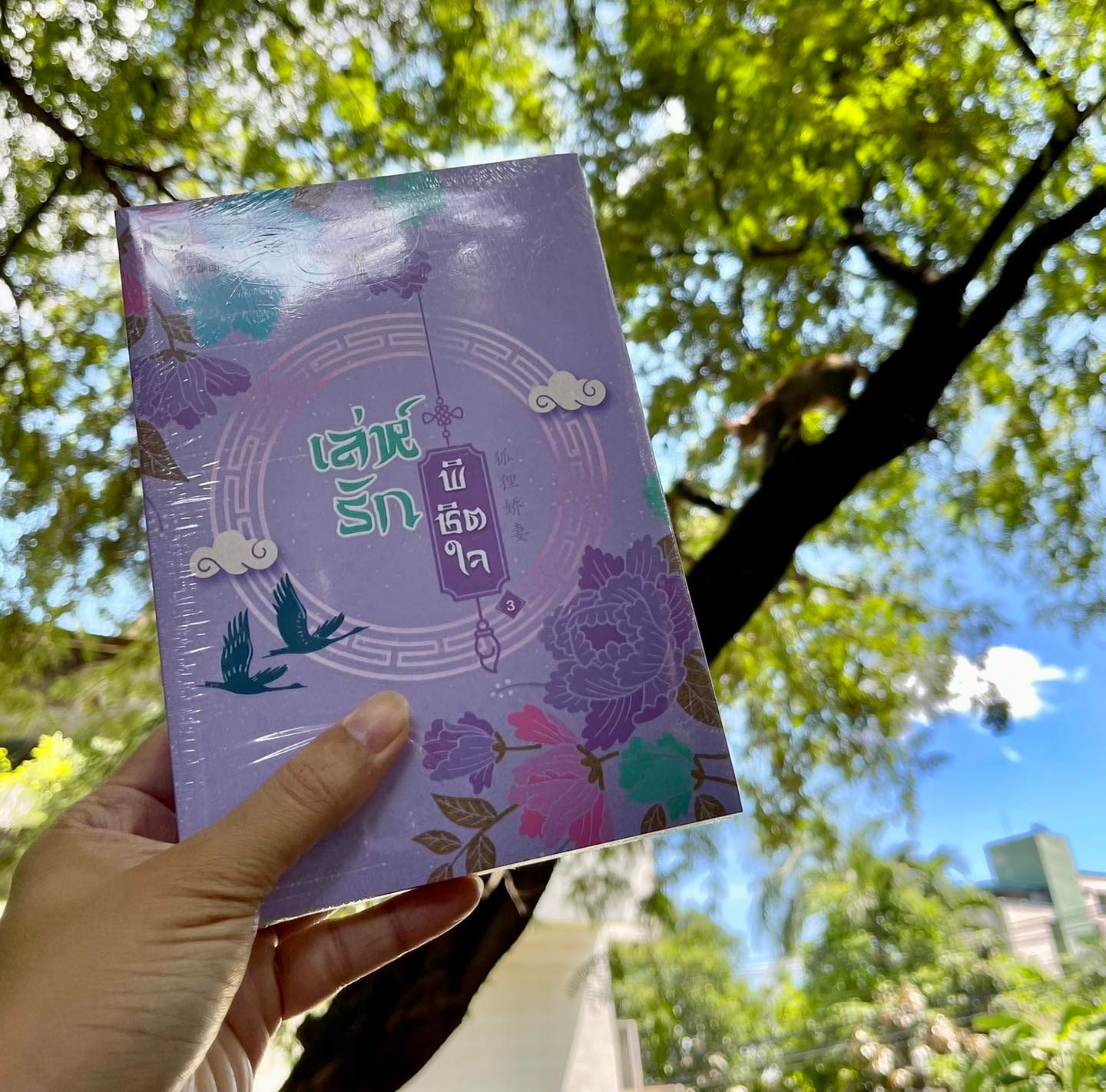เล่ห์รักพิชิตใจ เล่ม 3 (4 เล่มจบ) You Deng เขียน BBLong แปล แฮปปี้ บานาน่า Happy Banana ในเครือ ฟิสิกส์เซ็นเตอร์