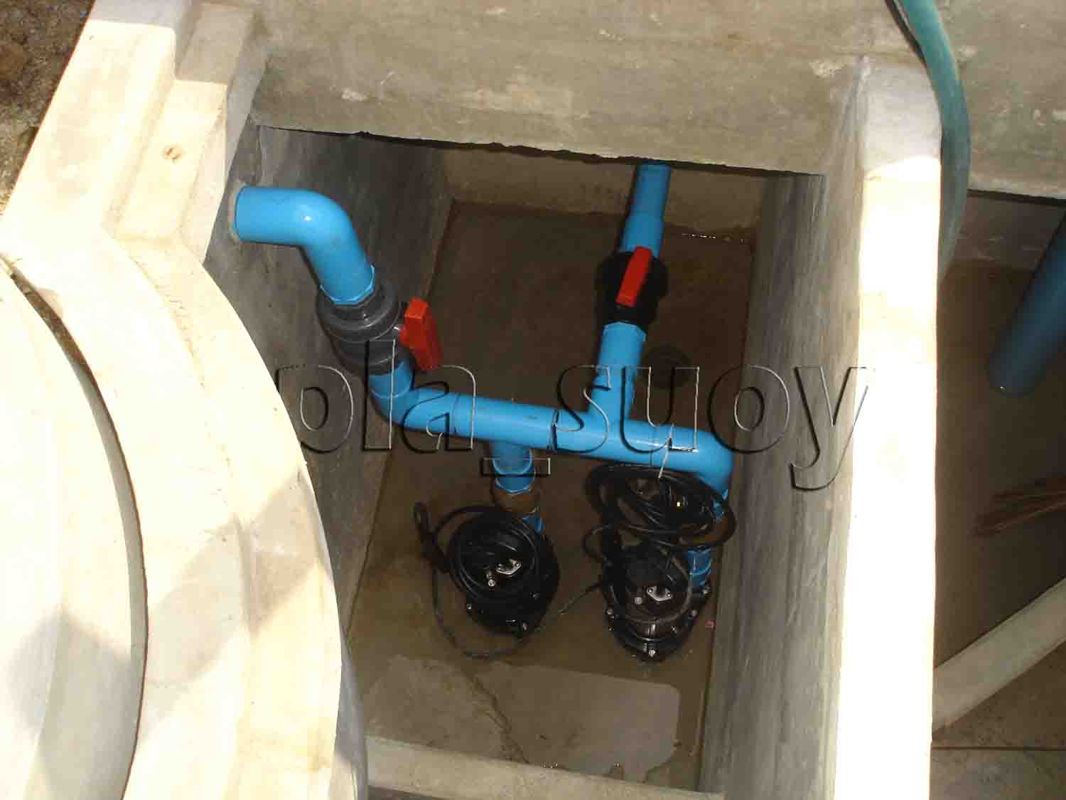 น้ำพุในบ่อเลี้ยงปลา บ้านพักคนชรา