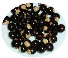 สารสกัดลำไย (Longan Extract) 100g.