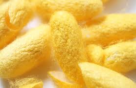 สารสกัดรังไหม (Sericin Extract) 1000g.