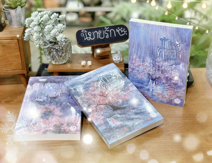 ข้าต้องปกป้องศิษย์พี่ผู้หล่อเหลา เล่ม 1-3 (จบ) 守护美强惨师兄 ฉางโกวลั่วเยวี่ย 长沟落月 แจ่มใส มากกว่ารัก