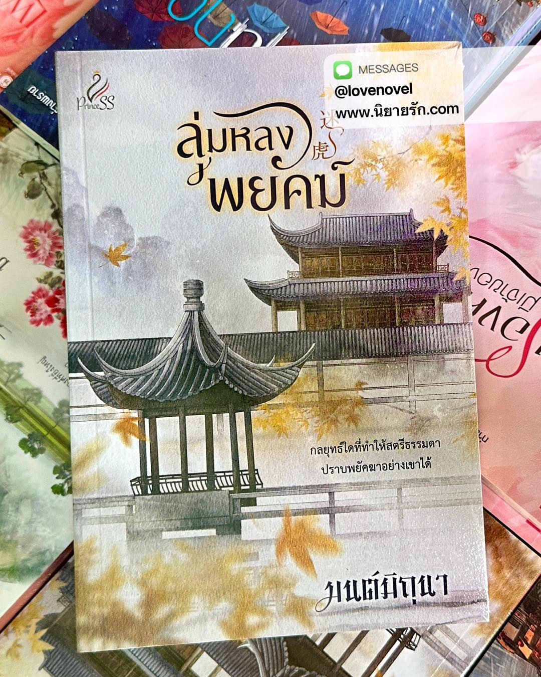 ลุ่มหลงพยัคฆ์ มนต์มิถุนา ปริ๊นเซส Princess ในเครือ สถาพรบุ๊คส์