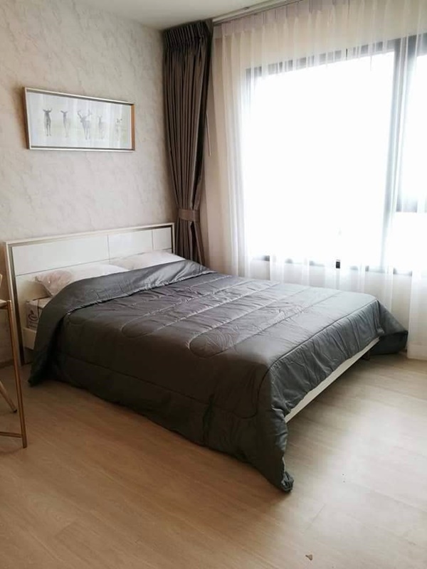 ขายคอนโดไลฟ์ อโศก พื้นที่ 25 ตร.ม. ห้องสตูดิโอ ขาย 4.35 ล้านบาท