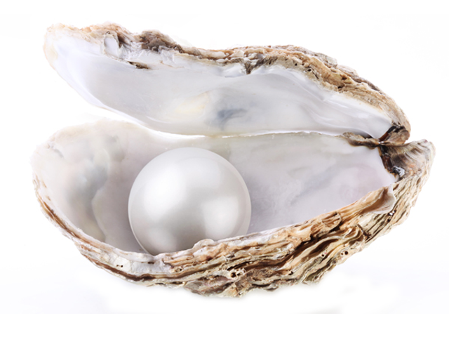 สารสกัดไข่มุก (Pearl Extract) ขนาด 500g.