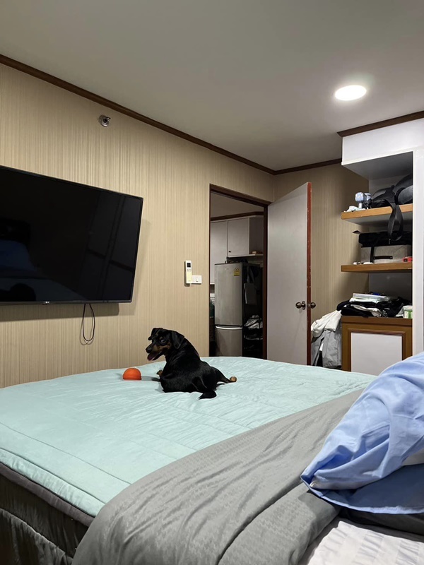 ให้เช่าคอนโด วิทยุ คอมเพล็กซ์ พื้นที่ 81 ตร.ม. 2 ห้องนอน Petfriendly