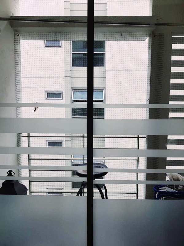 ให้เช่าคอนโด เดอะ รูม สุขุมวิท 79 พื้นที่ 60 ตร.ม. 2 ห้องนอน เช่า 19,000 บ/ด