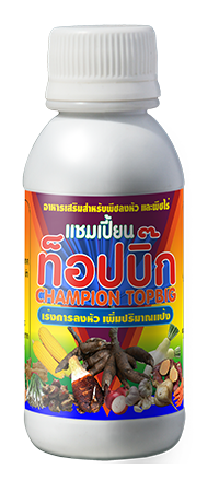 แชมเปี้ยน ท็อปบิ๊ก 100 CC.