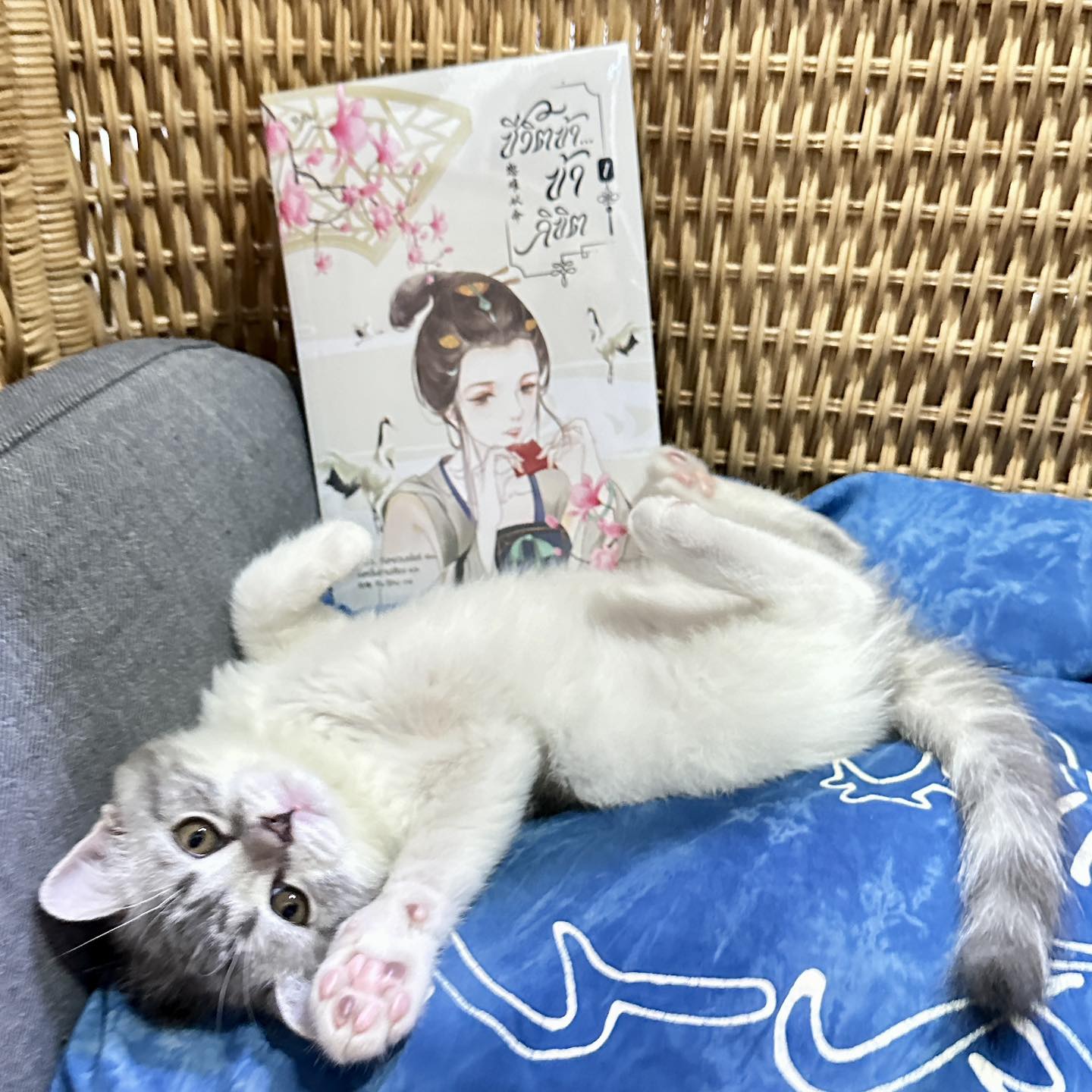 ชีวิตข้าข้าลิขิต เล่ม 1(2 เล่มจบ) 恕难从命 ถังหยวนเอ๋อร์ 唐源儿 อรุณ ในเครืออมรินทร์
