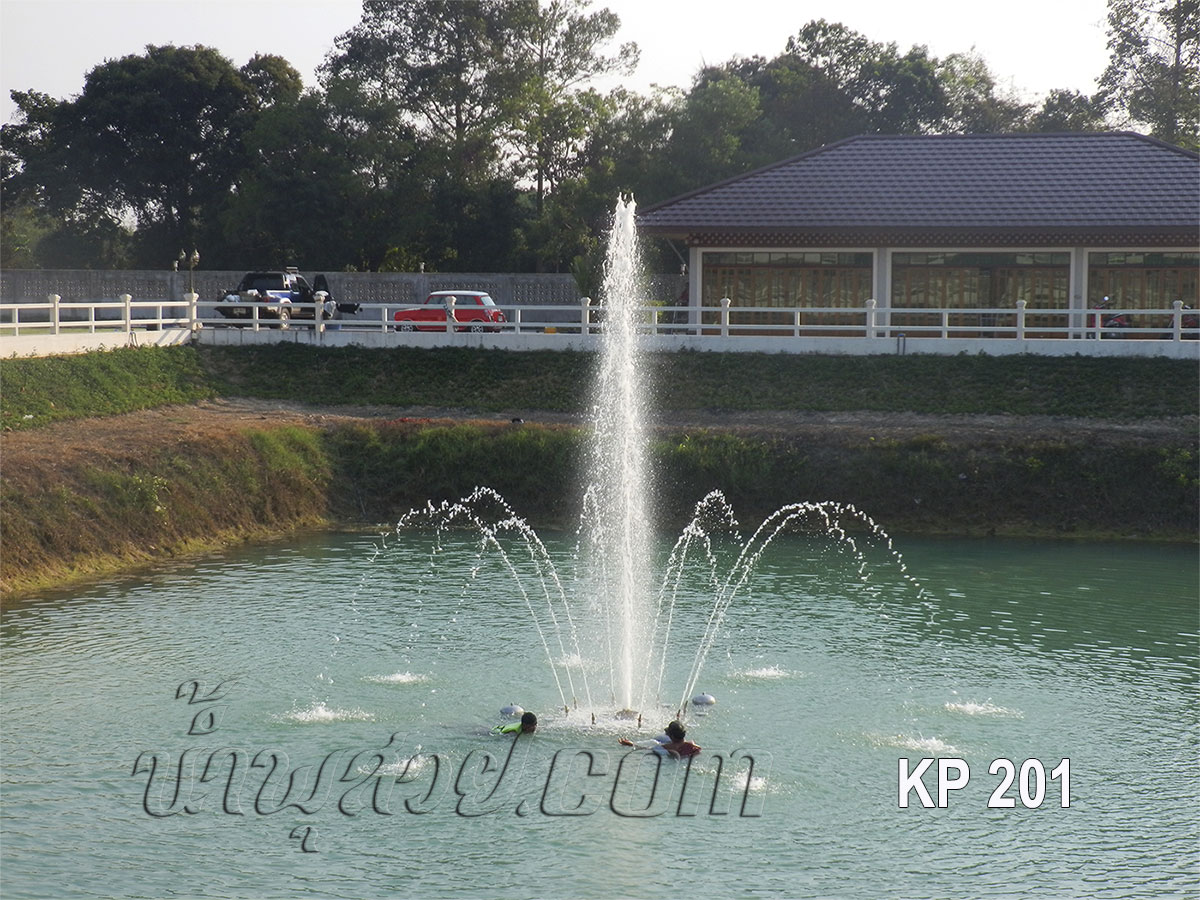 ชุดน้ำพุทุ่นลอย ดอกชบากลีบใหญ่ ที่ บ้านคุณเพ็ญรุ่ง ปราจีนบุรี