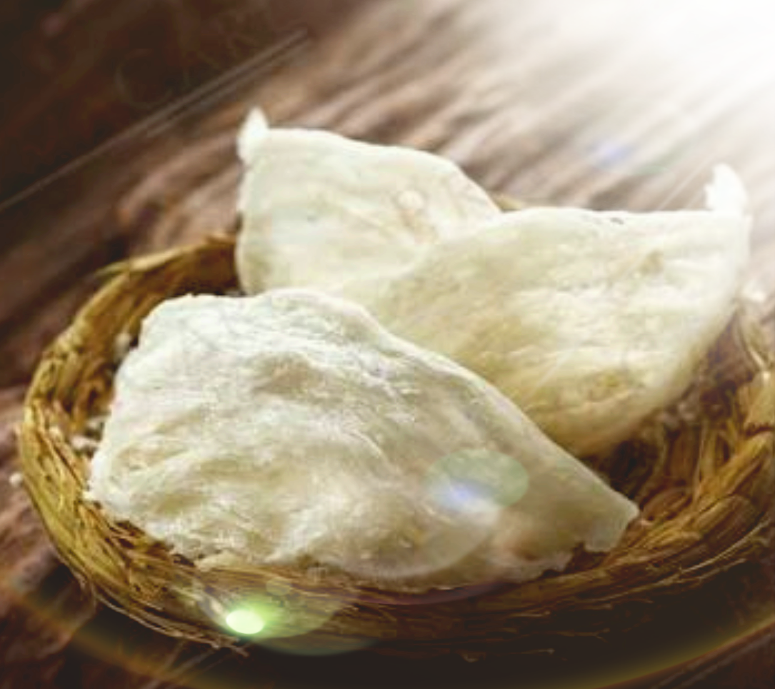 สารสกัดรังนก Bird's Nest Extract 1000g.