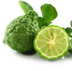 สารสกัดมะกรูด Kaffir Lime Juice 100g.