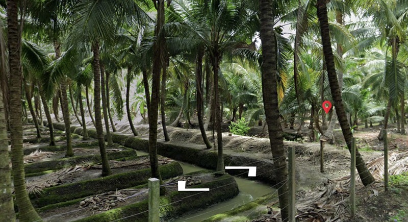 ขายที่ดิน สวนมะพร้าว ย่านดำเนินสะดวก พื้นที่ 14 ไร่ 2 งาน เศษ ขาย 18 ล้านบาท