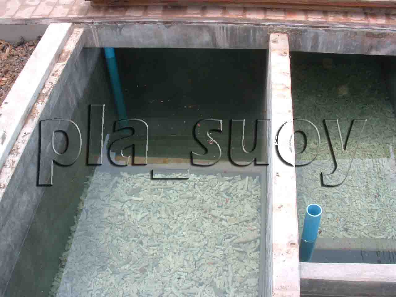 น้ำพุในบ่อเลี้ยงปลา บ้านพักคนชรา