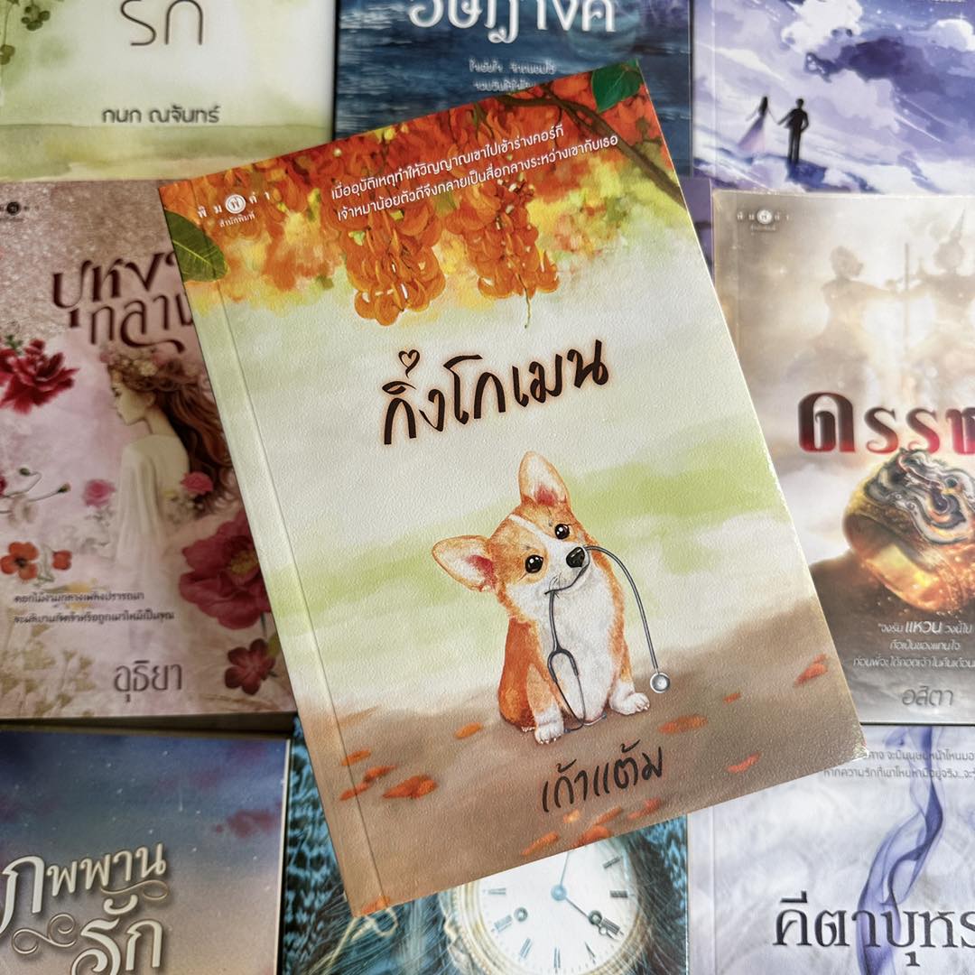 กิ่งโกเมน ชุด วุ่นนักรักบุษบา เก้าแต้ม พิมพ์คำ Pimkham ในเครือ สถาพรบุ๊คส์