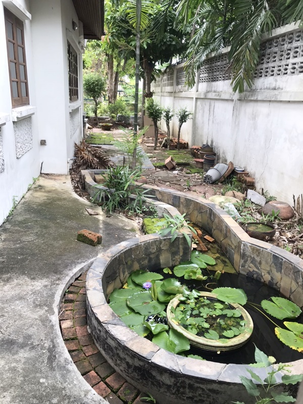 ให้เช่าบ้านเดียว 2 ชั้น ย่านพุทธมนฑลสาย 2 พื้นที่ 100 ตรว. 4 ห้องนอน 25,000 บ/ด